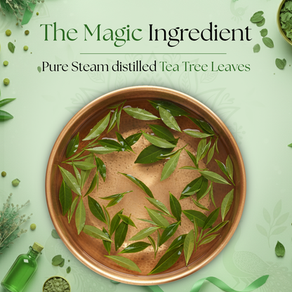 Tea Tree Face Mist – Pure Natural Hydrosol