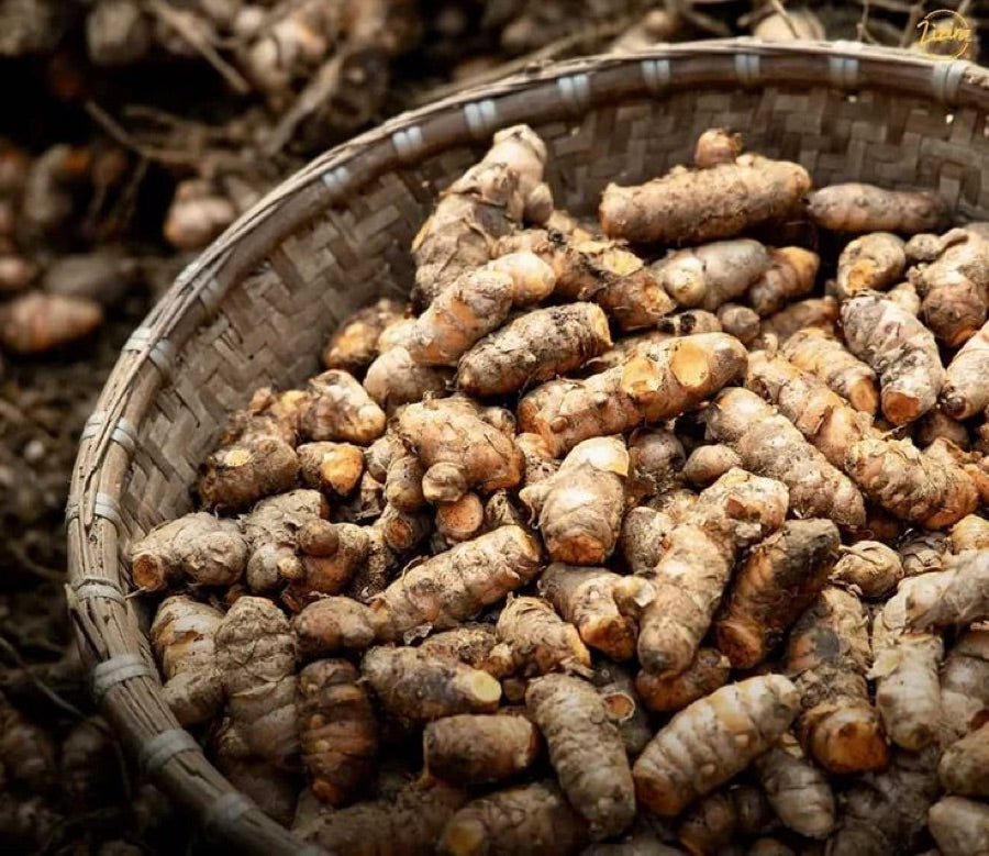 Lakadong Turmeric